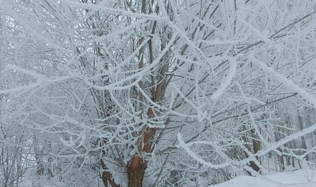 Tatvan'ın bir yanı sis bir yanı güneş
