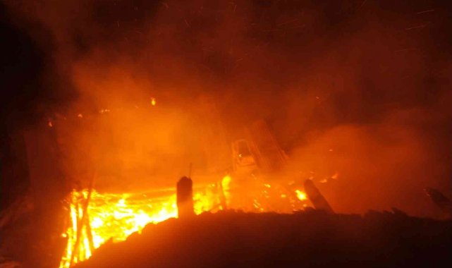 Tavşanlı Arifler köyünde yangın