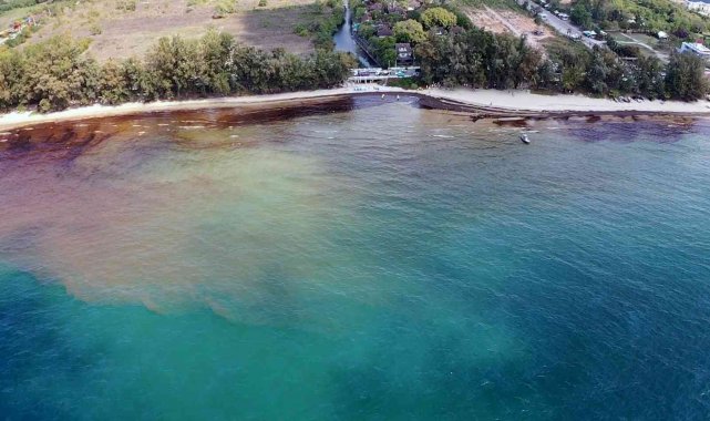 Tayland'da petrol sızıntısı nedeniyle bir plaj afet bölgesi ilan edildi