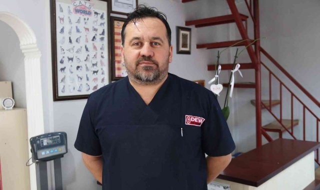 Tehlikeli köpek ırkları