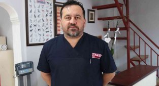 Tehlikeli köpek ırkları