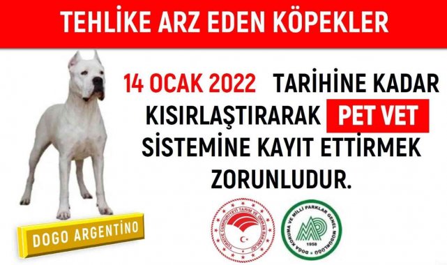 Tehlikeli köpekler kısırlaştırılarak PETVET sistemine kayıt edilecek