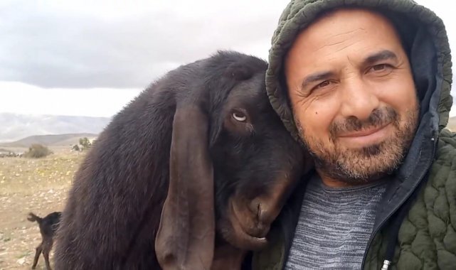 Teke ile sahibinin dostluğu şaşırtıyor