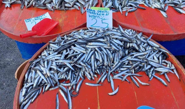 Tekirdağ'da hamsi 25 TL'ye kadar düştü