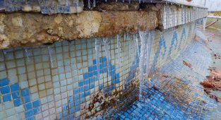 Tekirdağ'da hayat dondu