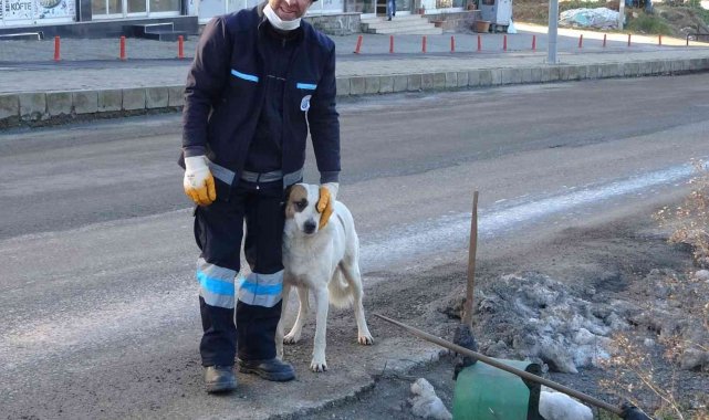Temizliğe her sabah birlikte başlayıp birlikte bitiriyorlar