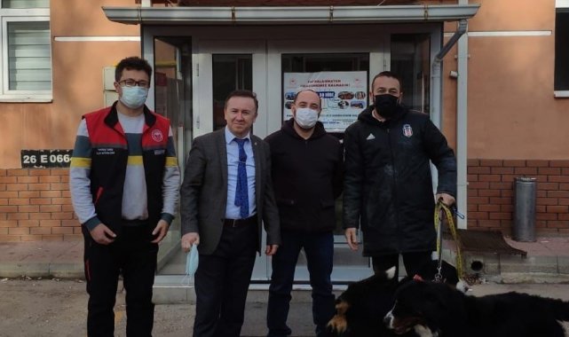 Tepebaşı'nda 7 ayda bin 123 köpek kayıt altına alındı