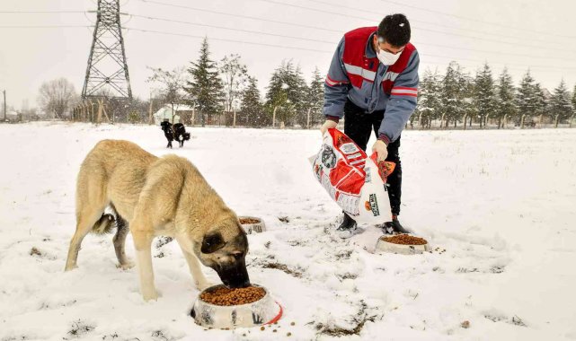 Tepebaşı'nda can dostlar unutulmuyor