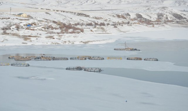 Tercan Baraj Gölü dondu