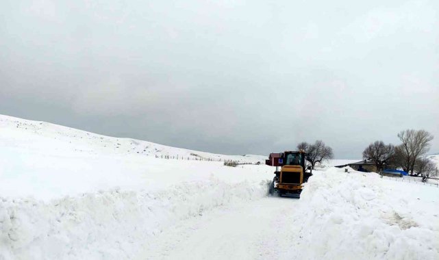 Tercan&#039;da kardan kapalı köy ve mezra yolları açıldı