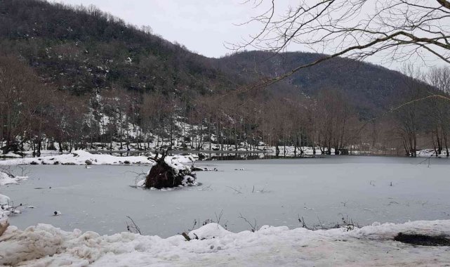 Teşvikiye Göleti dondu