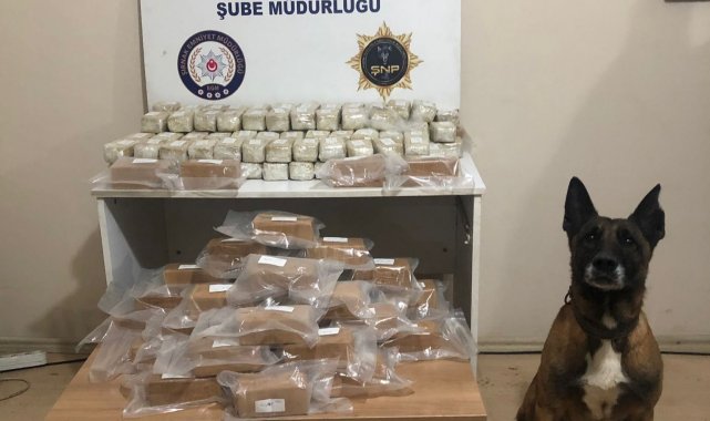 Tırın zulasındaki 52 kilo 639 gram eroini &#039;Stark&#039; buldu