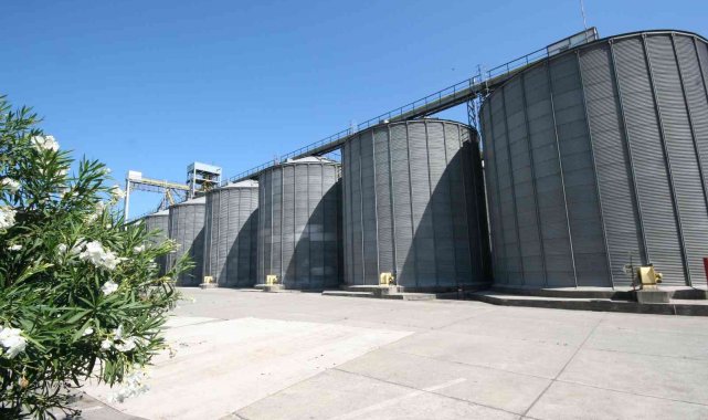 TMO'dan ekmek zammına karşı hamle: 1 milyon 220 bin ton hububatı 2021 fiyatıyla satacak