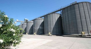 TMO'dan ekmek zammına karşı hamle: 1 milyon 220 bin ton hububatı 2021 fiyatıyla satacak