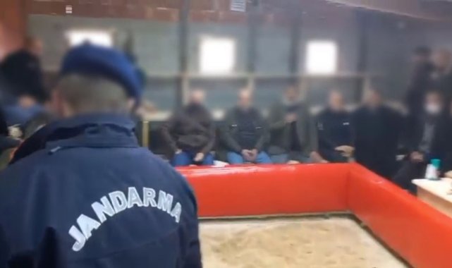 Trabzon'da horoz dövüşü operasyonu