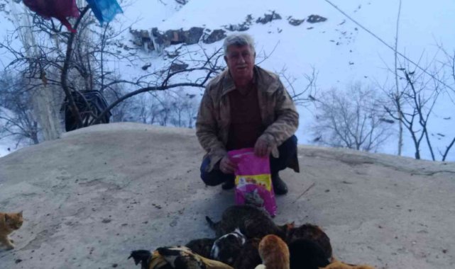 Trabzon'dan Batman Mereto dağı eteklerindeki kedilere mama
