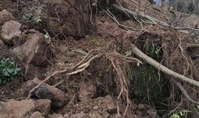 Trabzon'un Araklı ilçesinde heyelan