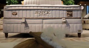 Tropik yağmur ormanlarından gelen doğallık Bambi Yatak ile buluştu