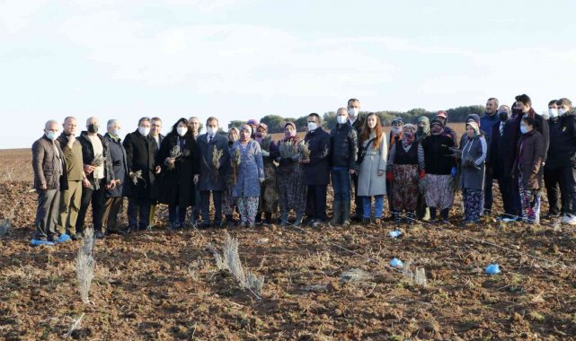 Troya Ören Yeri'ne gelen yerli ve yabancı turistleri lavanta tarlaları karşılayacak