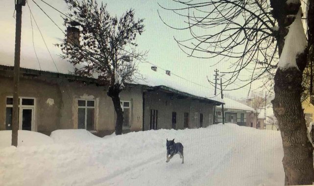 Tufanbeyli Sibirya gibi, işçi servisi tipide yolda kaldı