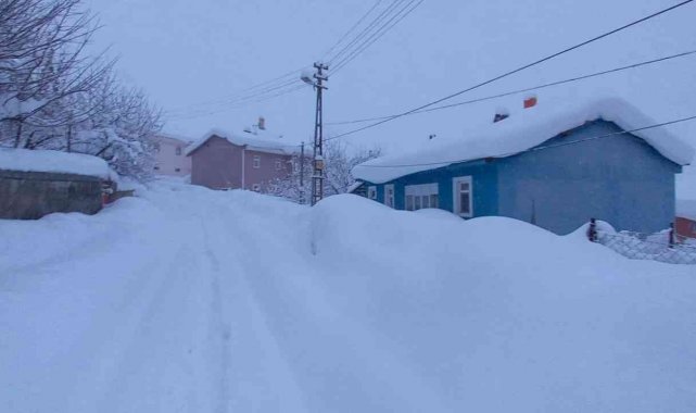 Tunceli'de 290 köy ile 758 mezra yolu ulaşıma kapalı bulunuyor