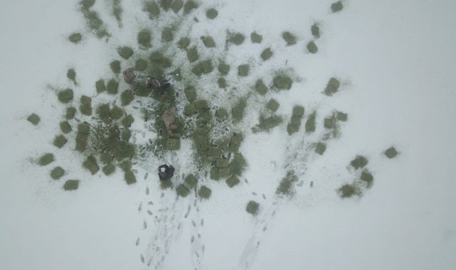 Tunceli&#039;de yaban hayvanları için doğaya yem bırakıldı