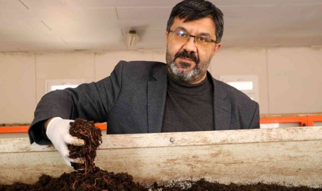 Türk bilim adamları buldu, kadınlar solucanla güzelleşecek