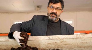 Türk bilim adamları buldu, kadınlar solucanla güzelleşecek