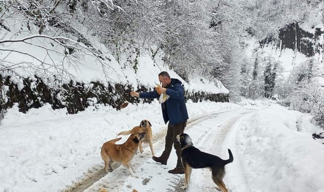 Türkeli Orman İşletme, köy yollarına ve doğaya destek ulaştırdı