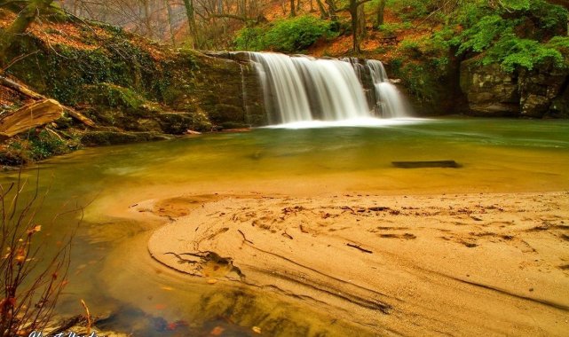 Türkiye'de en çok bu bölgede bulunuyor.. Tam 40 tanesini keşfetti