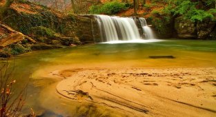Türkiye'de en çok bu bölgede bulunuyor.. Tam 40 tanesini keşfetti