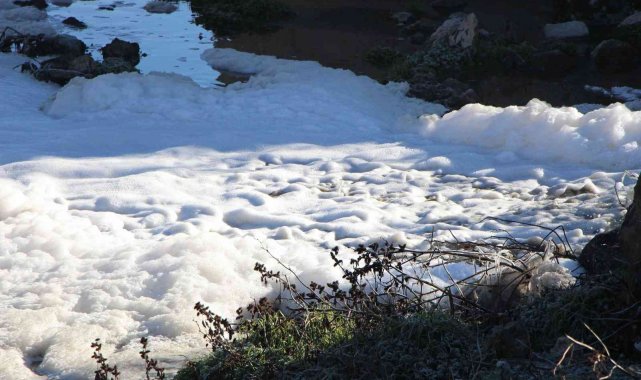 Türkiye'nin tersine akan tek akarsuyu olan 'Tersakan Çayı' kirlilikten köpürdü