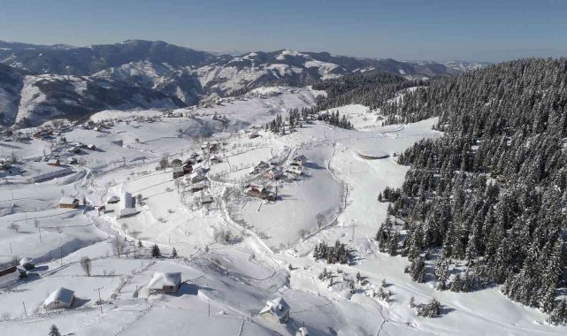 Turnalık Yaylası'nın nefes kesen güzelliği havadan görüntülendi