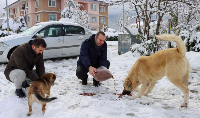 Tutuk, kar sonrası saha çalışmalarını inceledi
