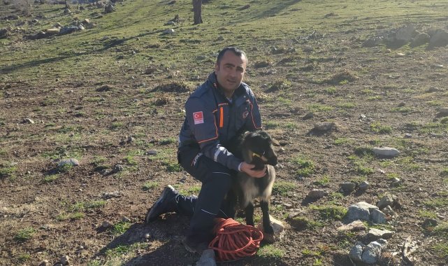 Uçurumda mahsur kalan keçiyi AFAD kurtardı