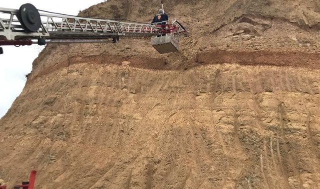 Uçurumda mahsur kalan kediyi itfaiye kurtardı
