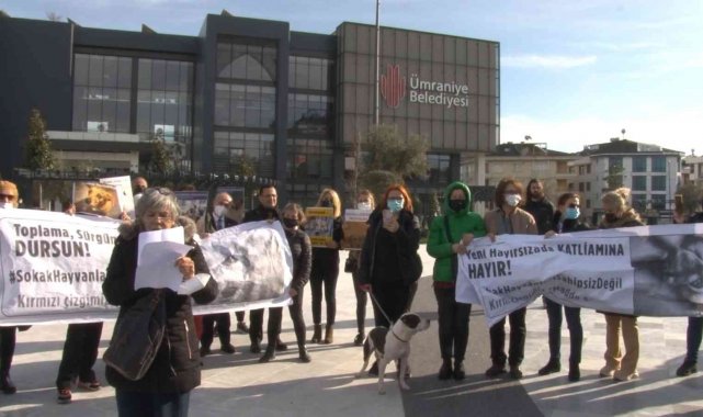 Ümraniye Belediyesi önünde hayvan hakları eylemi