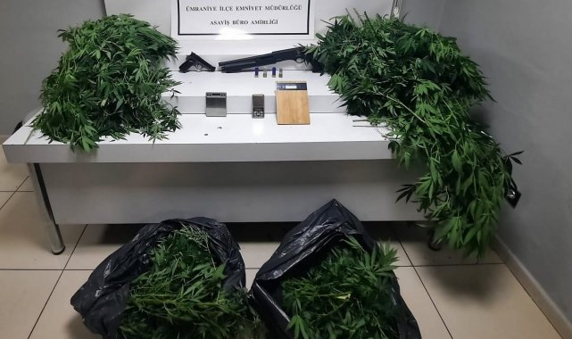 Ümraniye'de evini uyuşturucu serasına çeviren şahsa operasyon