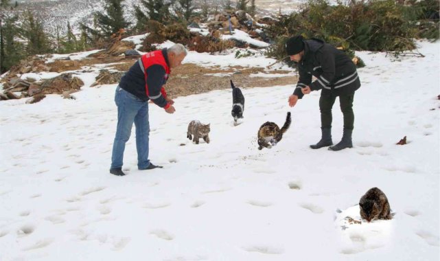 Üniversite personeli sokak hayvanlarını unutmadı