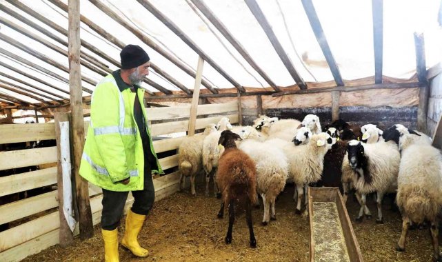 Üreticinin yol sorununu Başkan Güder çözdü