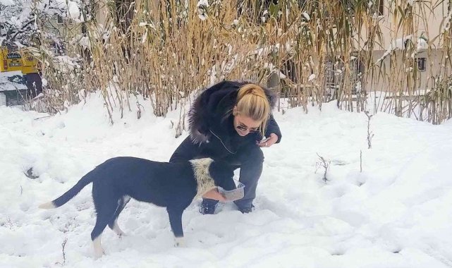 Üretime ara verdiler, ama mamaya devam