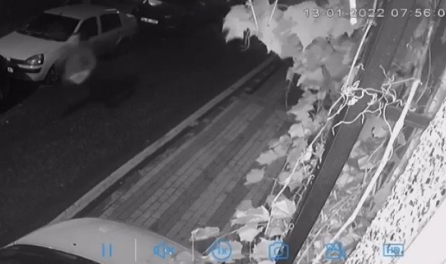 Üsküdar'da silahlı dehşet: Otizmli gencin köpeğini pitbull zannederek silahla vurdu