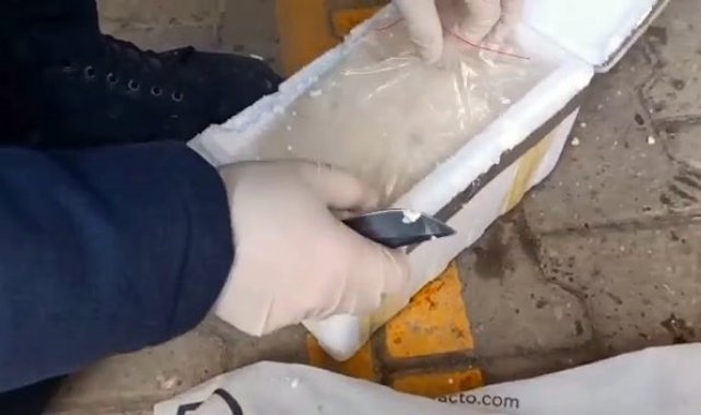 Uyuşturucu ile mücadelede son bir yılda 241 şüpheli tutuklandı