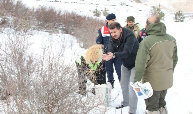 Vali yaban hayvanları için doğaya yem bıraktı