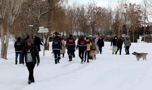 Van Büyükşehir Belediyesi sokak köpeklerini &#039;mikroçip&#039; ile kayıt altına alıyor