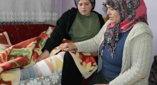 Van'da başıboş köpek dehşeti