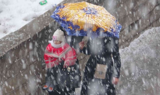 Van'da lapa lapa kar yağışı