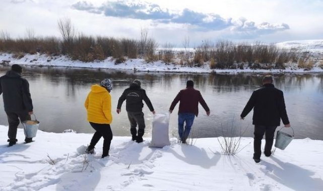 Van&#039;da yaban hayvanları için doğaya yem bırakıldı