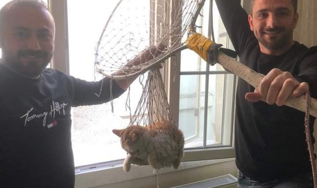 Vatandaşlar 6. Katta mahsur kalan kediyi kurtardı