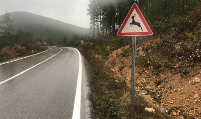 Yaban hayatı geliştirme sahasına &#039;Karaca çıkabilir&#039; levhası